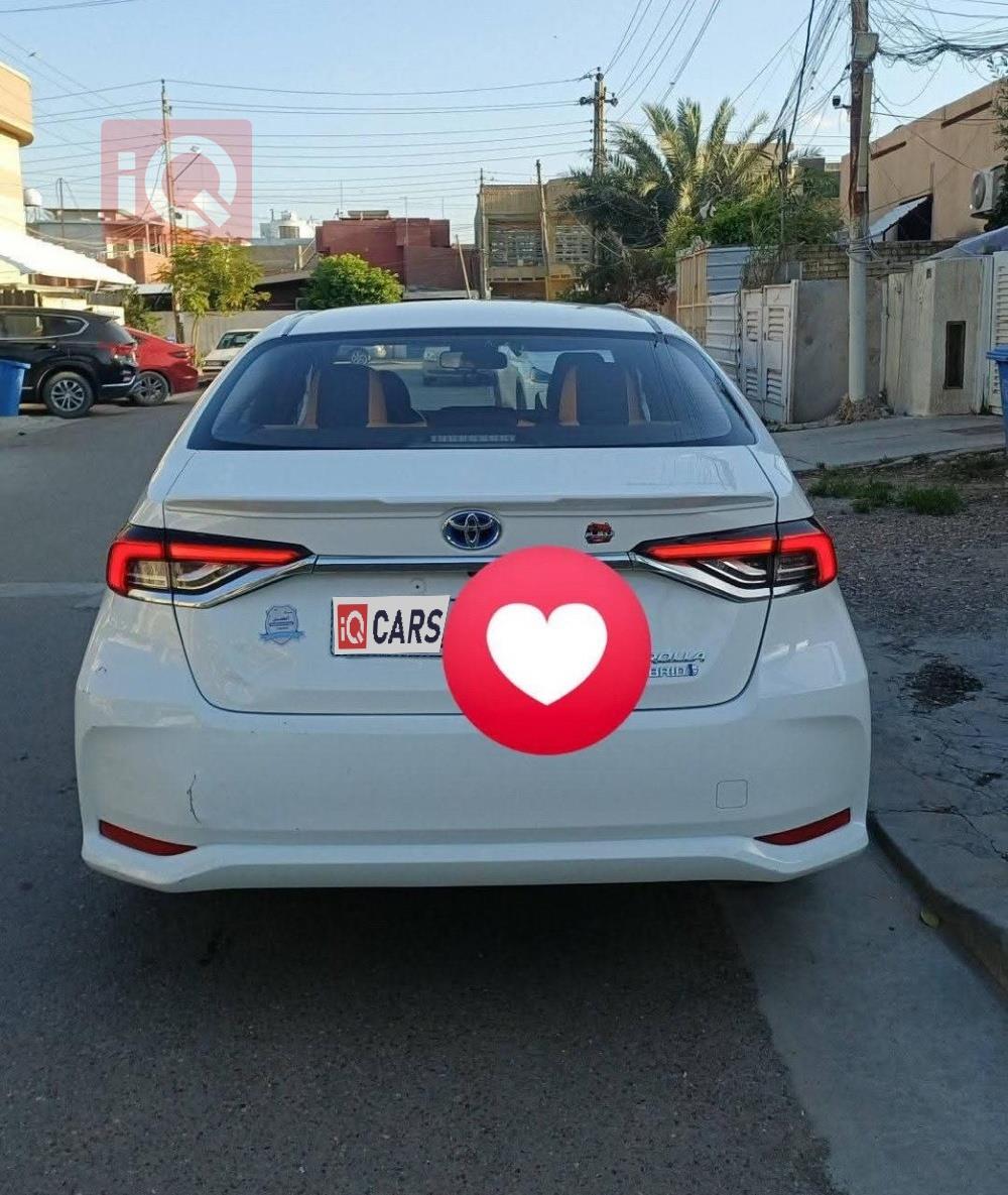 تويوتا كورولا